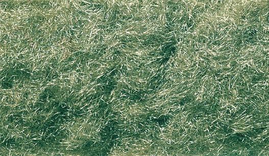 Woodland Scenics FL635 Static Grass Flock Shaker - Medium Green