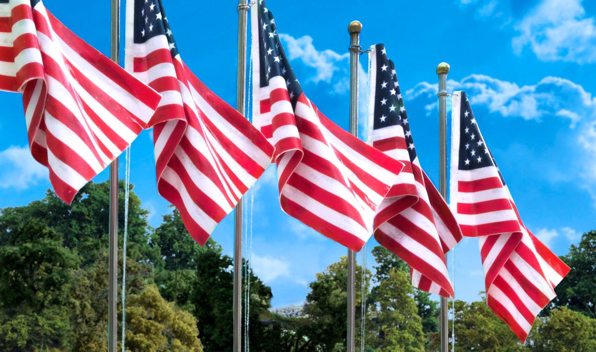 Woodland Scenics HO/N JP5952 Just Plug Lighting System - US Flag Large - Pole - Spotlight