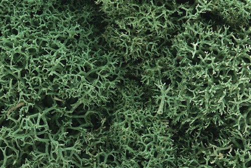 Woodland Scenics L162 Lichen Bag - Light Green