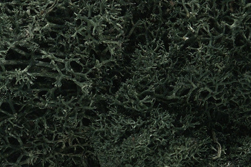 Woodland Scenics L164 Lichen Bag - Dark Green