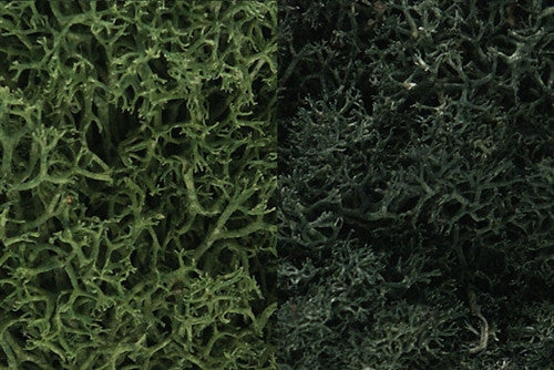 Woodland Scenics L168 Lichen Bag Dark Green Mix