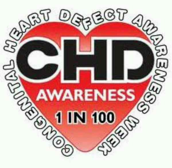 Jacksonville Terminal Company N SRM-CHD 40' High Cube container Harrison's Heart Fundraiser - THINK HEART-THINK HOPE 2-Pack Set