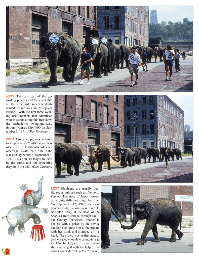 Morning Sun Books 1733 Circus and Carnival Trains In Color: A Fond Look Back at Their Equipment and Operation