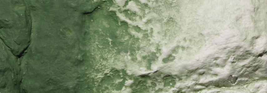 Woodland Scenics C1228 Green Color Undercoat - 8oz