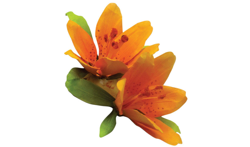 Woodland Scenics T4646 Pollen - 1.8 cu. in. Bag - Orange