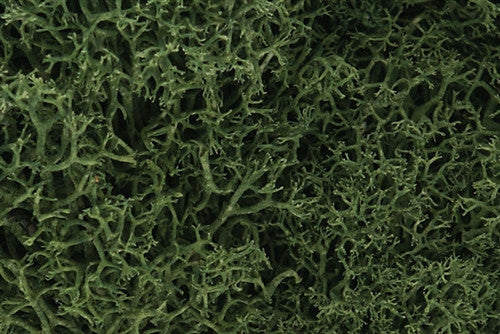 Woodland Scenics L163 Lichen Bag -  Medium Green